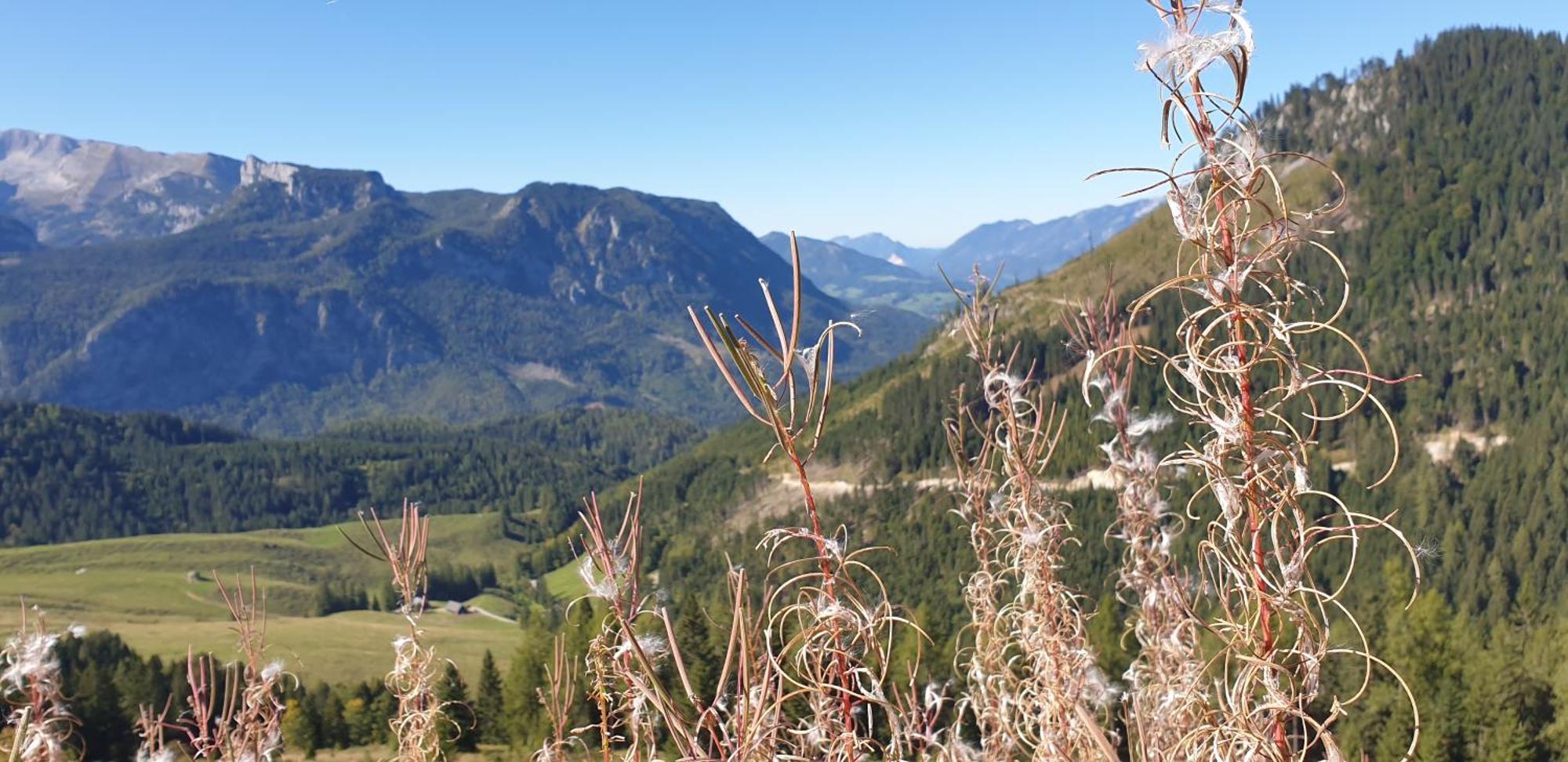 Ferienhaus Mountain View Spital Am Pyhrn Bagian luar foto