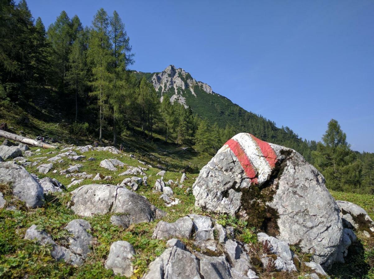 Ferienhaus Mountain View Spital Am Pyhrn Bagian luar foto