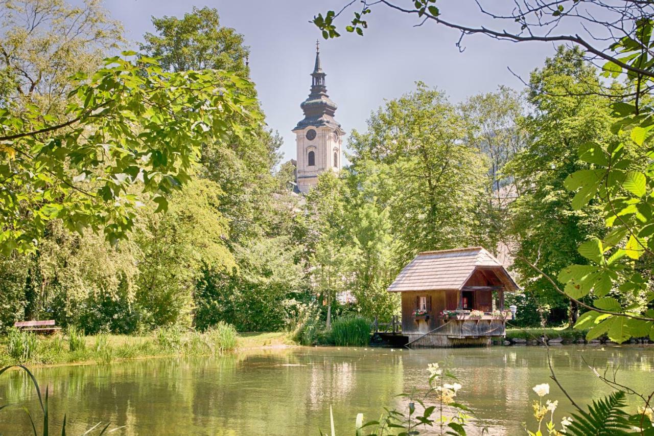 Ferienhaus Mountain View Spital Am Pyhrn Bagian luar foto