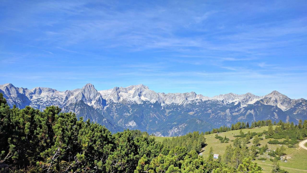 Ferienhaus Mountain View Spital Am Pyhrn Bagian luar foto