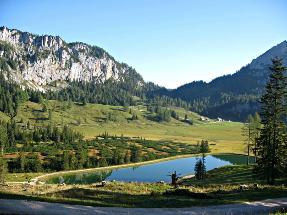 Ferienhaus Mountain View Spital Am Pyhrn Bagian luar foto